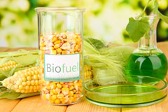 Gipton biofuel availability