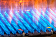 Gipton gas fired boilers